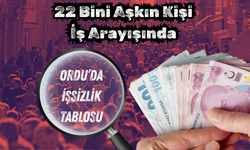 Ordu’da İşsizlik Tablosu: 22 Bini Aşkın Kişi İş Arayışında