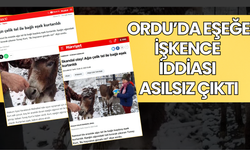 Ordu’da Eşeğe İşkence İddiası Asılsız Çıktı
