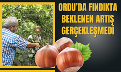 Ordu’da Fındıkta Beklenen Artış Gerçekleşmedi (24 Ocak 2026)