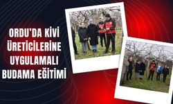Ordu’da Kivi Üreticilerine Uygulamalı Budama Eğitimi