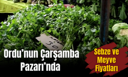 Ordu’nun Çarşamba Pazarı’nda Sebze ve Meyve Fiyatları