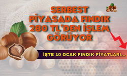 Serbest Piyasada Fındık 280 TL’den İşlem Görüyor