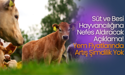 Süt ve Besi Hayvancılığına Nefes Aldıracak Açıklama