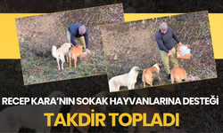 Recep Kara’nın Sokak Hayvanlarına Desteği Takdir Topladı