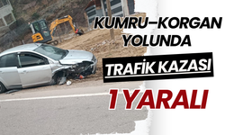 Kumru–Korgan Yolunda Trafik Kazası: 1 Yaralı