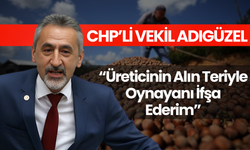 CHP’li Vekil Adıgüzel: “Üreticinin Alın Teriyle Oynayanı İfşa Ederim”