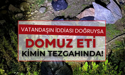 Vatandaşın İddiası Doğruya Domuz Eti Kimin Tezgahında!