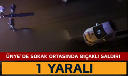 Ünye’de Sokak Ortasında Bıçaklı Saldırı: 1 Yaralı