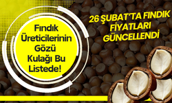 Fındık Üreticilerinin Gözü Kulağı Bu Listede! 26 Şubat’ta Fındık Fiyatları Güncellendi