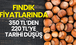 Fındık Fiyatlarında 350 TL’den 220 TL’ye Tarihi Düşüş