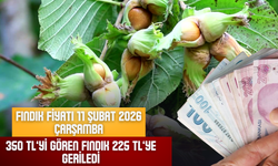 Fındık Fiyatı 11 Şubat 2026 Çarşamba