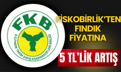 Fiskobirlik’ten Fındık Fiyatına 5 TL’lik Artış