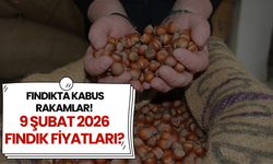 Fındıkta Kabus Rakamlar! 9 Şubat 2026 Fındık Fiyatları?