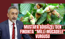 Mustafa Adıgüzel’den Fındıkta “Milli Mücadele” Vurgusu
