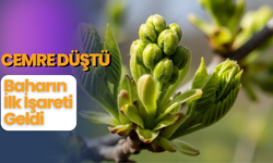 Cemre Düştü, Baharın İlk İşareti Geldi