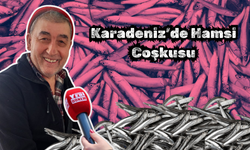 Karadeniz’de Hamsi Coşkusu