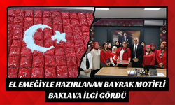 El Emeğiyle Hazırlanan Bayrak Motifli Baklava İlgi Gördü
