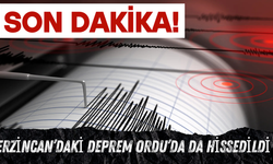 Erzincan’daki Deprem Ordu’da da Hissedildi