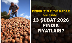 Fındık 215 TL’ye Kadar Geriledi! 13 Şubat 2026 Fındık Fiyatları?