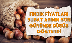 Fındık Fiyatları Şubat Ayının Son Gününde Düşüş Gösterdi