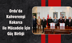 Ordu’da Kahverengi Kokarca ile Mücadele İçin Güç Birliği