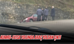 Kumru–Fatsa Yolunda Araç Yoldan Çıktı