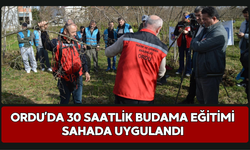 Ordu’da 30 Saatlik Budama Eğitimi Sahada Uygulandı