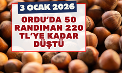 Ordu’da 50 Randıman 220 TL’ye Kadar Düştü