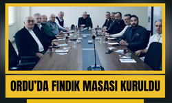 ORDU’DA FINDIK MASASI KURULDU