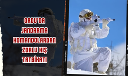 Ordu’da Jandarma Komandolardan Zorlu Kış Tatbikatı