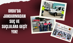 Ordu’da Jandarmadan Suç ve Suçlulara Geçit Yok