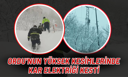 Ordu’nun Yüksek Kesimlerinde Kar Elektriği Kesti