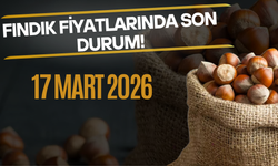 17 Mart 2026 Fındık Fiyatlarında Son Durum!
