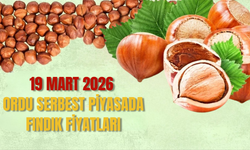 19 Mart 2026 Ordu Serbest Piyasada Fındık Fiyatları