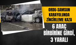 Ordu-Samsun Karayolunda Zincirleme Kaza: 6 Araç Birbirine Girdi, 3 Yaralı