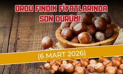 Ordu Fındık Fiyatlarında Son Durum! (6 Mart 2026)