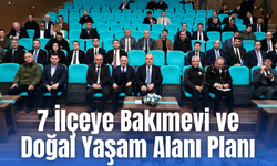 Ordu’da Sokak Hayvanları İçin Yeni Adım: 7 İlçeye Bakımevi ve Doğal Yaşam Alanı Planı