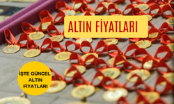 Ordu’da Fiyatlar Rekor Kırıyor