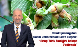 Haluk Şensoy’dan Fındık Rekoltesine Sert Eleştiri: “Amaç Türk Fındığını Beleşe Yedirmek”
