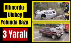 Altınordu-Ulubey Yolunda Kaza  3 Yaralı