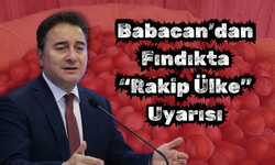 Babacan’dan Fındıkta “Rakip Ülke” Uyarısı