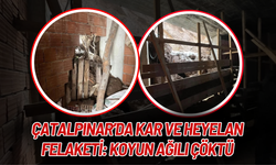 Çatalpınar’da Kar ve Heyelan Felaketi: Koyun Ağılı Çöktü