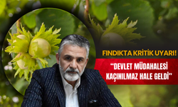 Fındıkta Kritik Uyarı: “Devlet Müdahalesi Kaçınılmaz Hale Geldi”