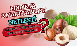 FINDIKTA 3 MART TABLOSU NETLEŞTİ: DOĞU 270 TL’Yİ ZORLADI, BATI 205 TL’DE KALDI
