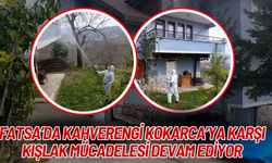 Fatsa’da Kahverengi Kokarca’ya Karşı Kışlak Mücadelesi Devam Ediyor