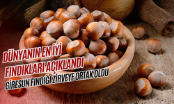 Dünyanın En İyi Fındıkları Açıklandı: Giresun Fındığı Zirveye Ortak Oldu