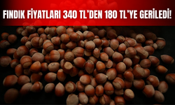 Fındık Fiyatları 340 TL’den 180 TL’ye Geriledi!