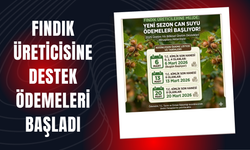 Fındık Üreticisine Destek Ödemeleri Başladı