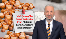 Haluk Şensoy’dan Fındık Üreticisine Uyarı: “Bitkinin Karnı Aç, Gübreyi İhmal Etmeyin”
