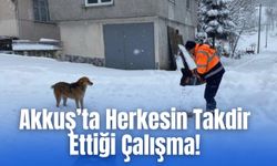 Akkuş’ta Sokak Hayvanlarına Kış Desteği